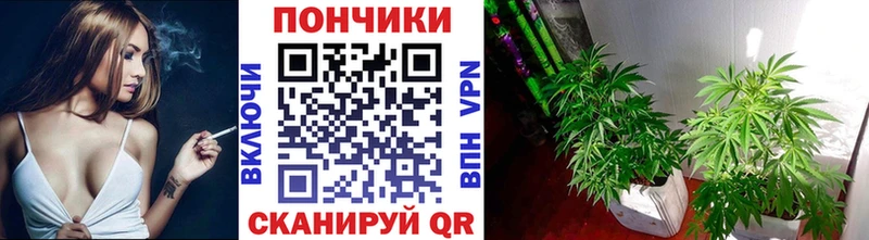 Шишки марихуана White Widow  купить закладку  Удачный 